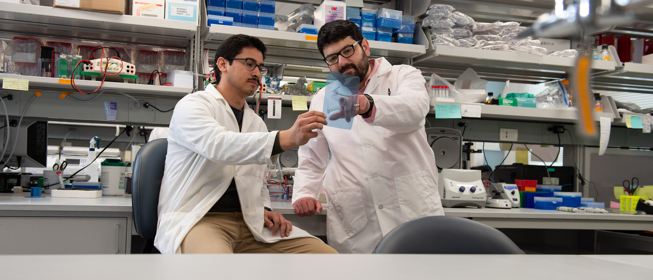 Garcia Student in Cancer Lab at UIHC on Tuesday, Jan. 7, 2020.