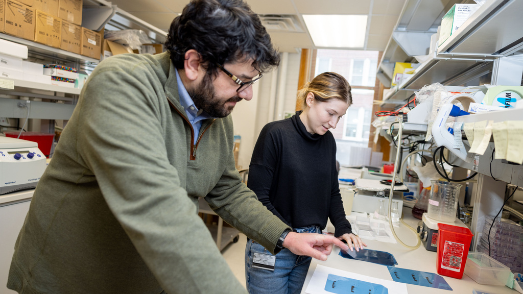 Cancer Biology lab photo