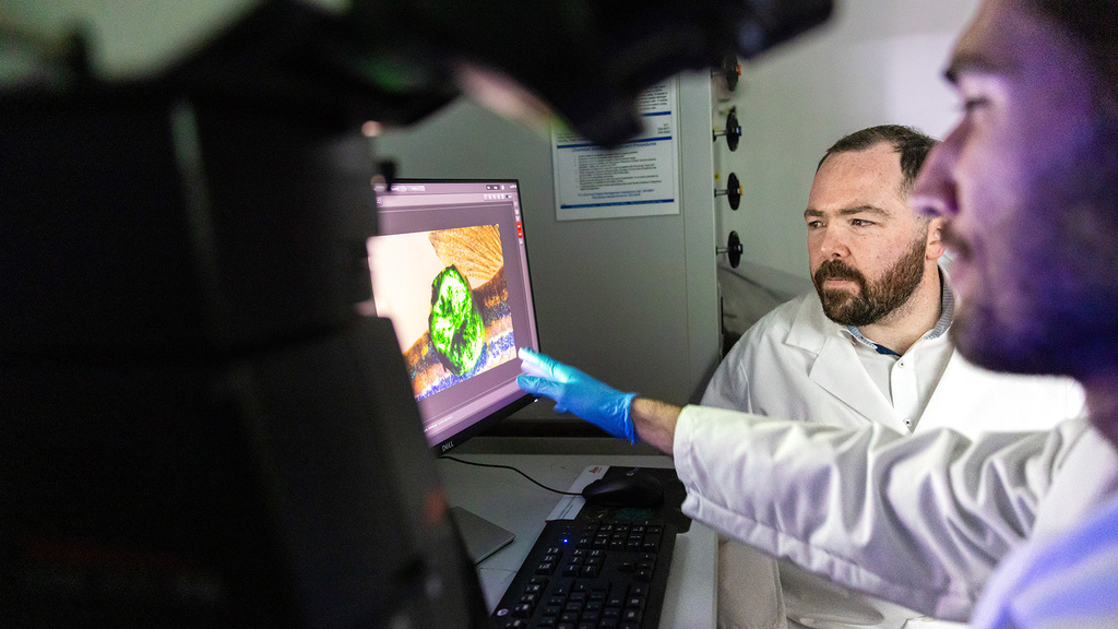 Colin Kenny lab